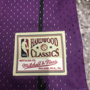 Cropped NBA Toronto Raptors