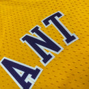 Cropped NBA Lakers Amerelo