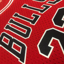 Cropped NBA Chicago Bulls