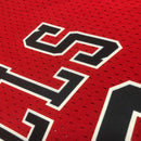 Cropped NBA Chicago Bulls