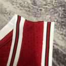 Cropped NBA Chicago Bulls