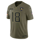 Camisa NFL Minnesota Vikings Jersey Salute To Service 2025